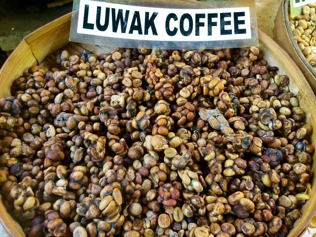 - ‍The Secret Behind Luwak Coffee: Exploring the Unique​ Processing Method and⁣ the ⁢Distinctive Flavor Profile
